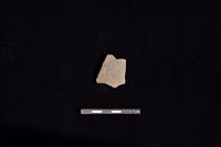 藏品(陶片)的圖片